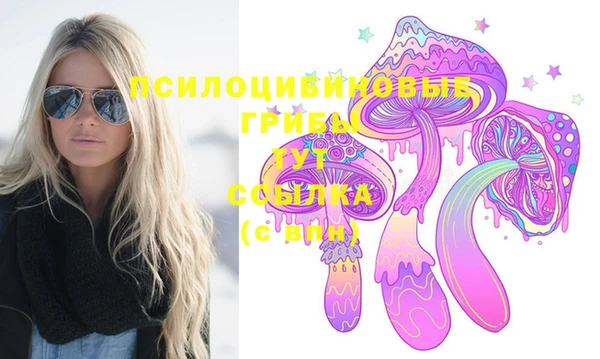 бошки Богородицк