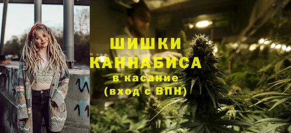 сатива Козловка
