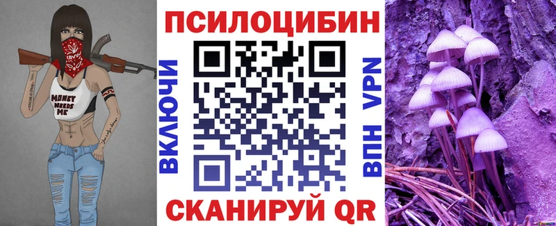блэк спрут ссылки  Бугуруслан  Галлюциногенные грибы Cubensis  дарнет шоп 